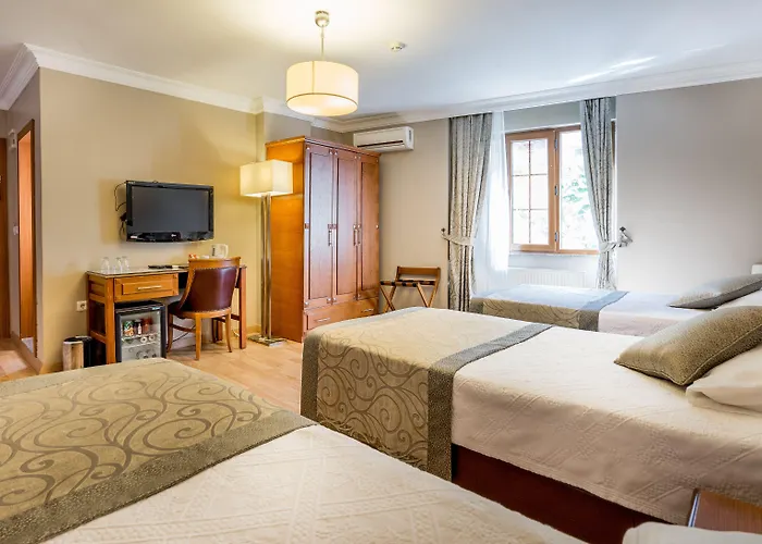 Отель Levent 3*