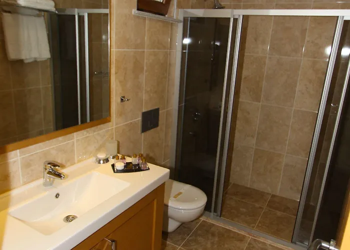 Отель Levent 3*